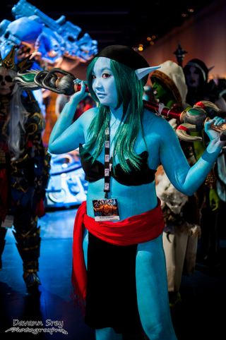 Illustration for article titled Glorious video game cosplay from this weekend's BlizzCon
